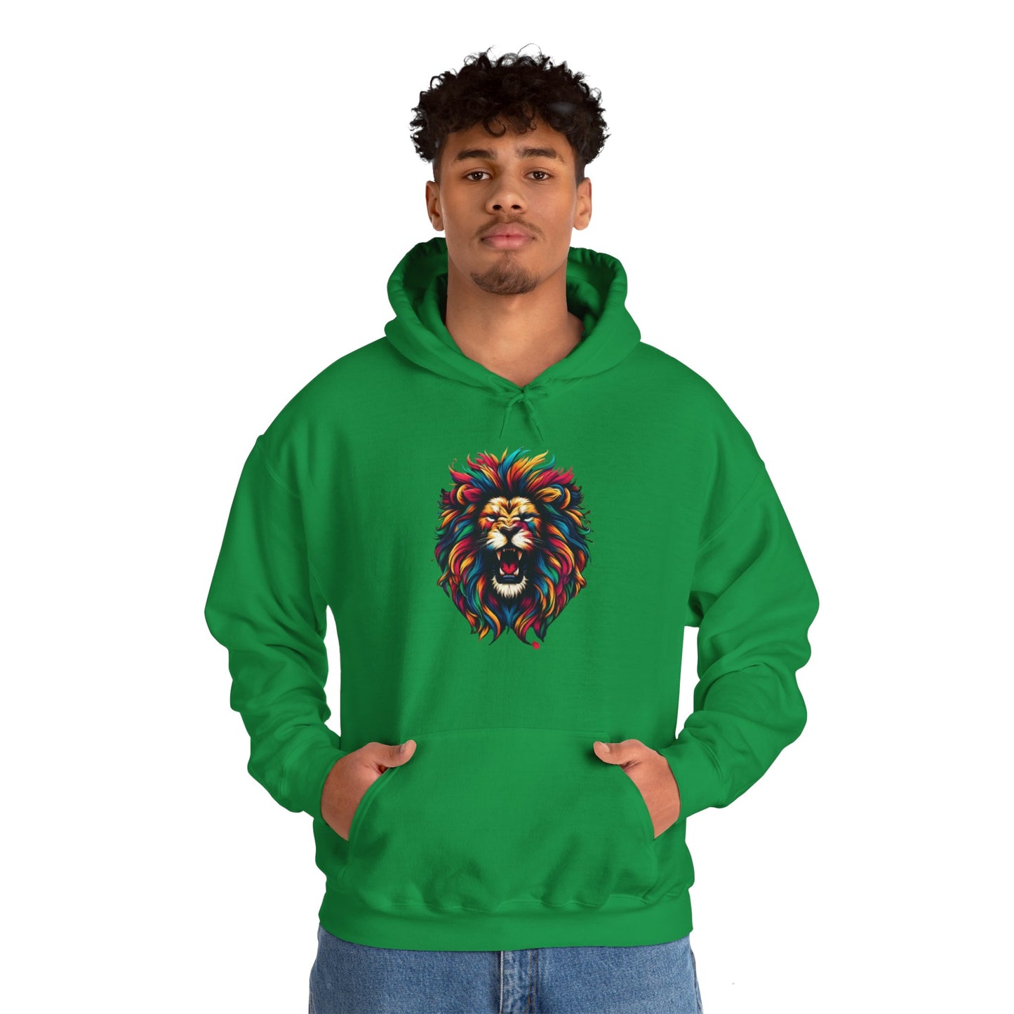 Men's Hooded Sweatshirt 2024