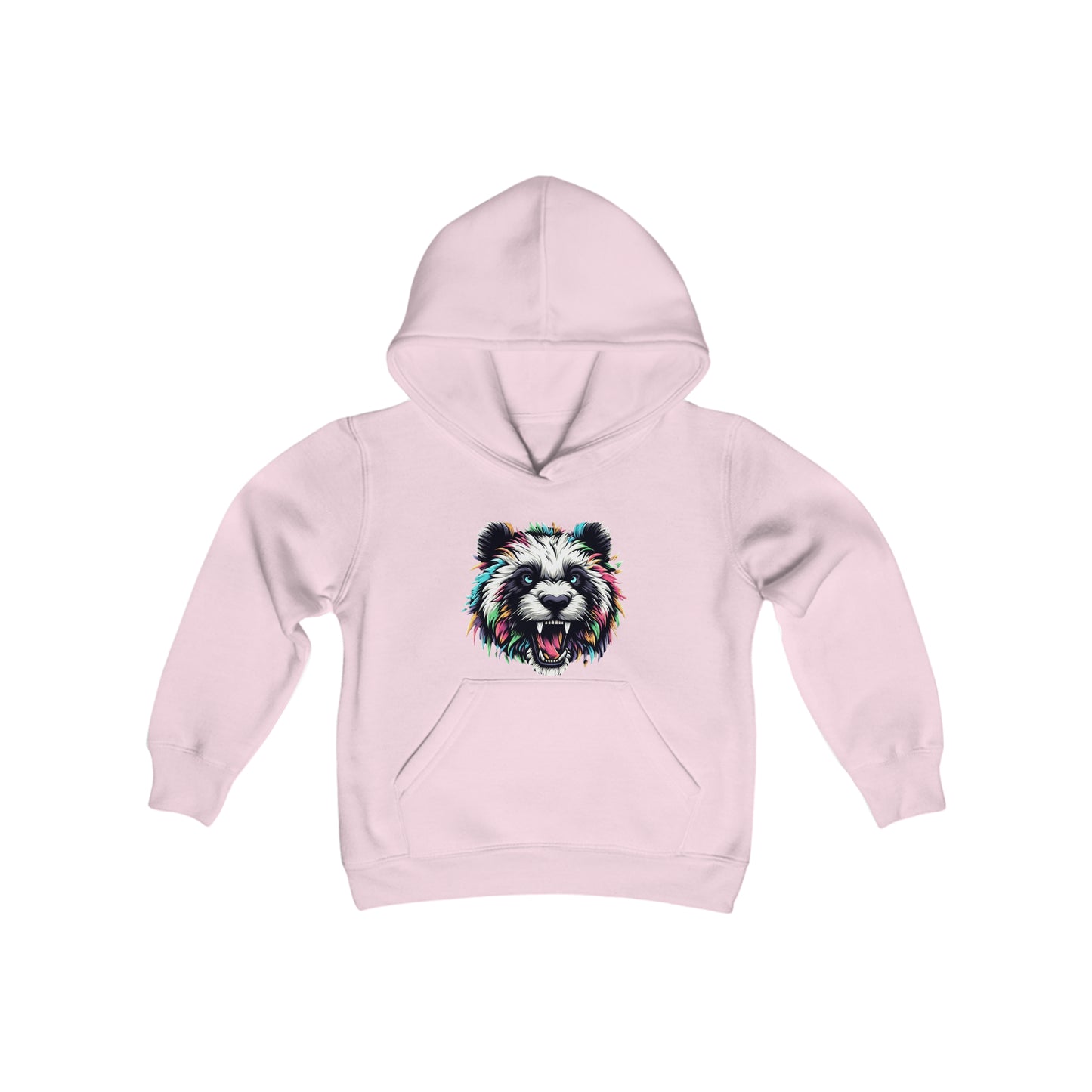 Youth Hooded Sweatshirt 2024