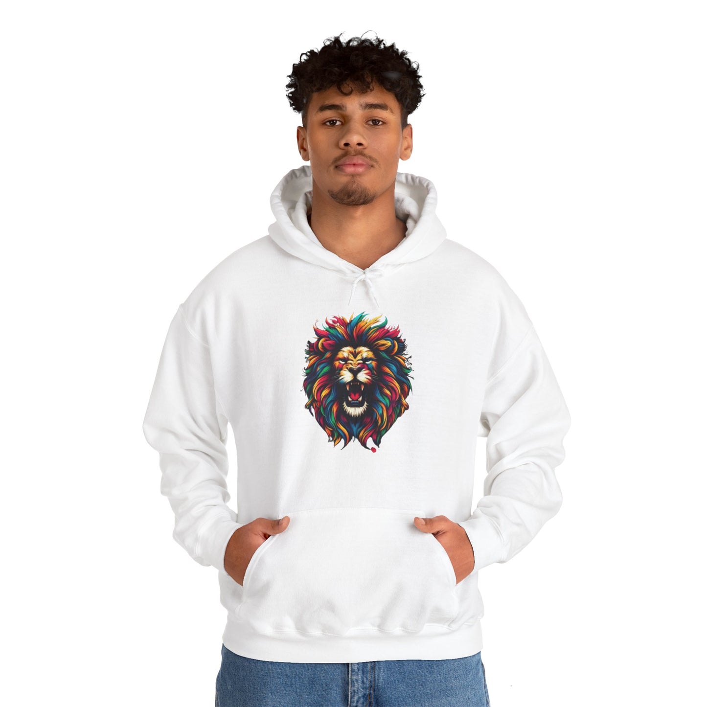 Men's Hooded Sweatshirt 2024